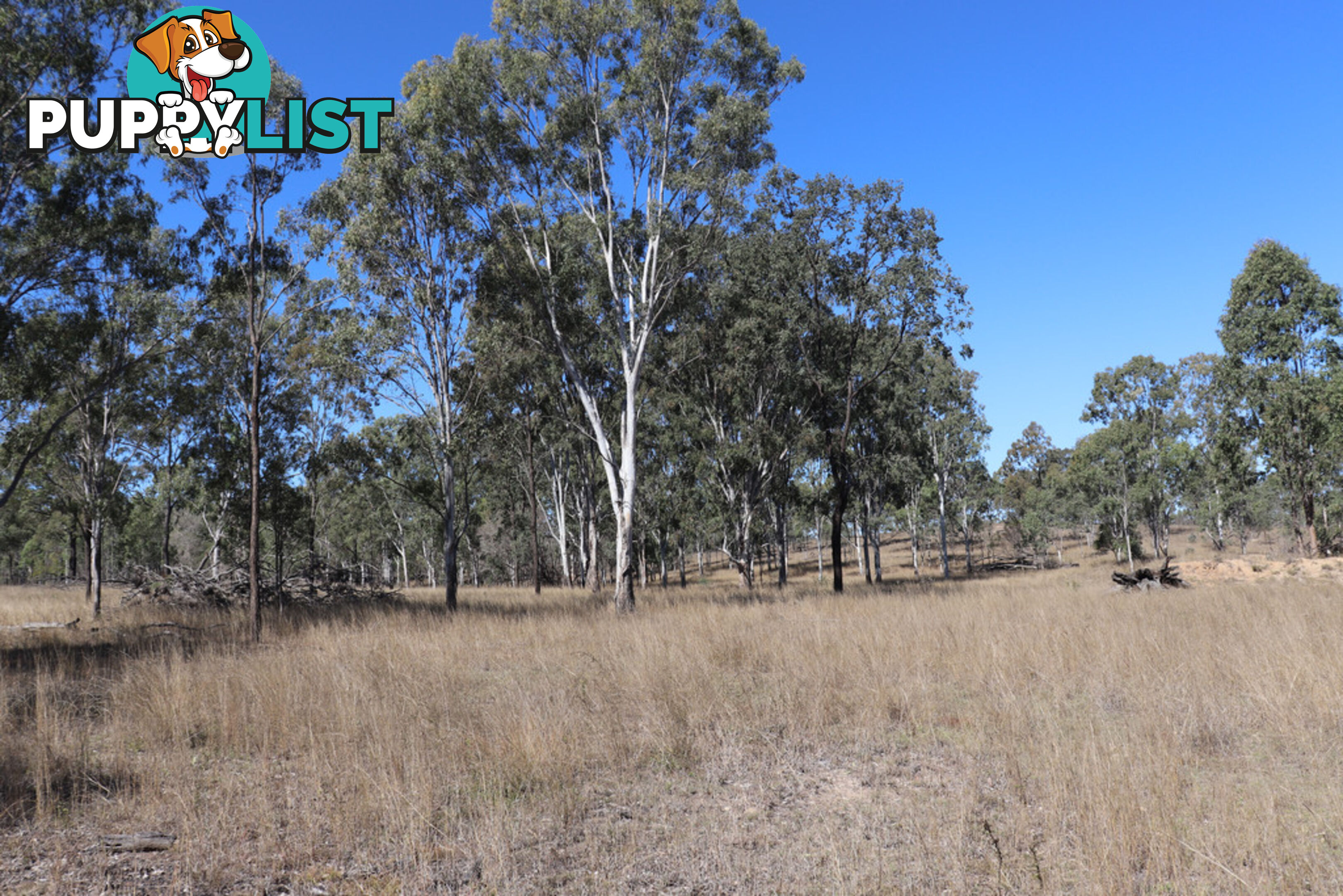 Lot 87 Youlambie Road MONTO QLD 4630