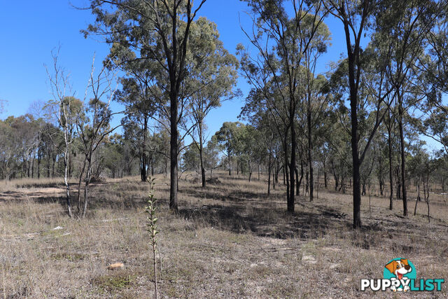 Lot 87 Youlambie Road MONTO QLD 4630