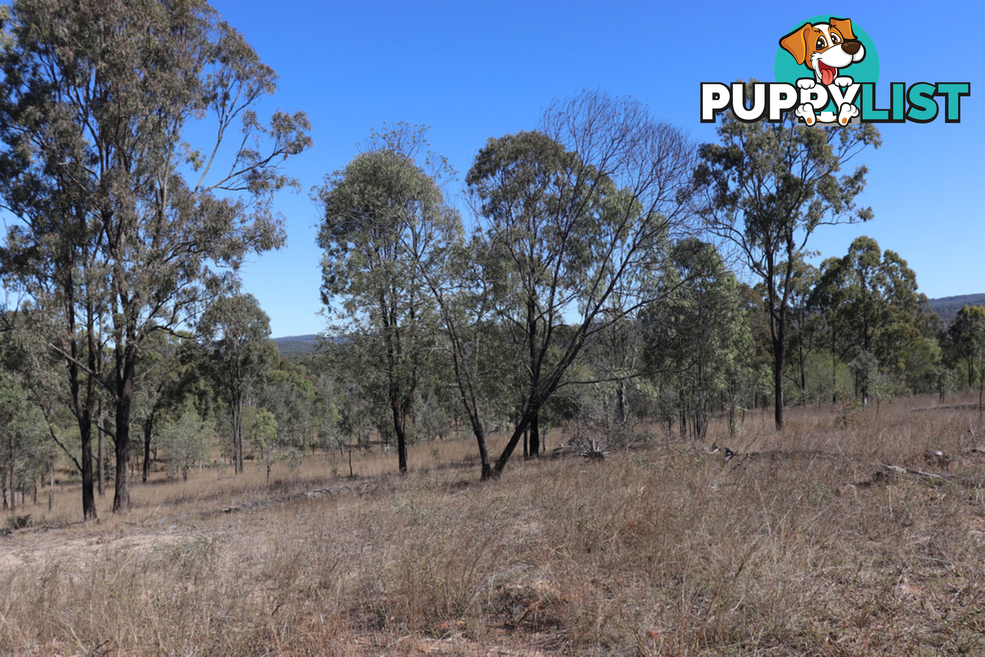 Lot 87 Youlambie Road MONTO QLD 4630