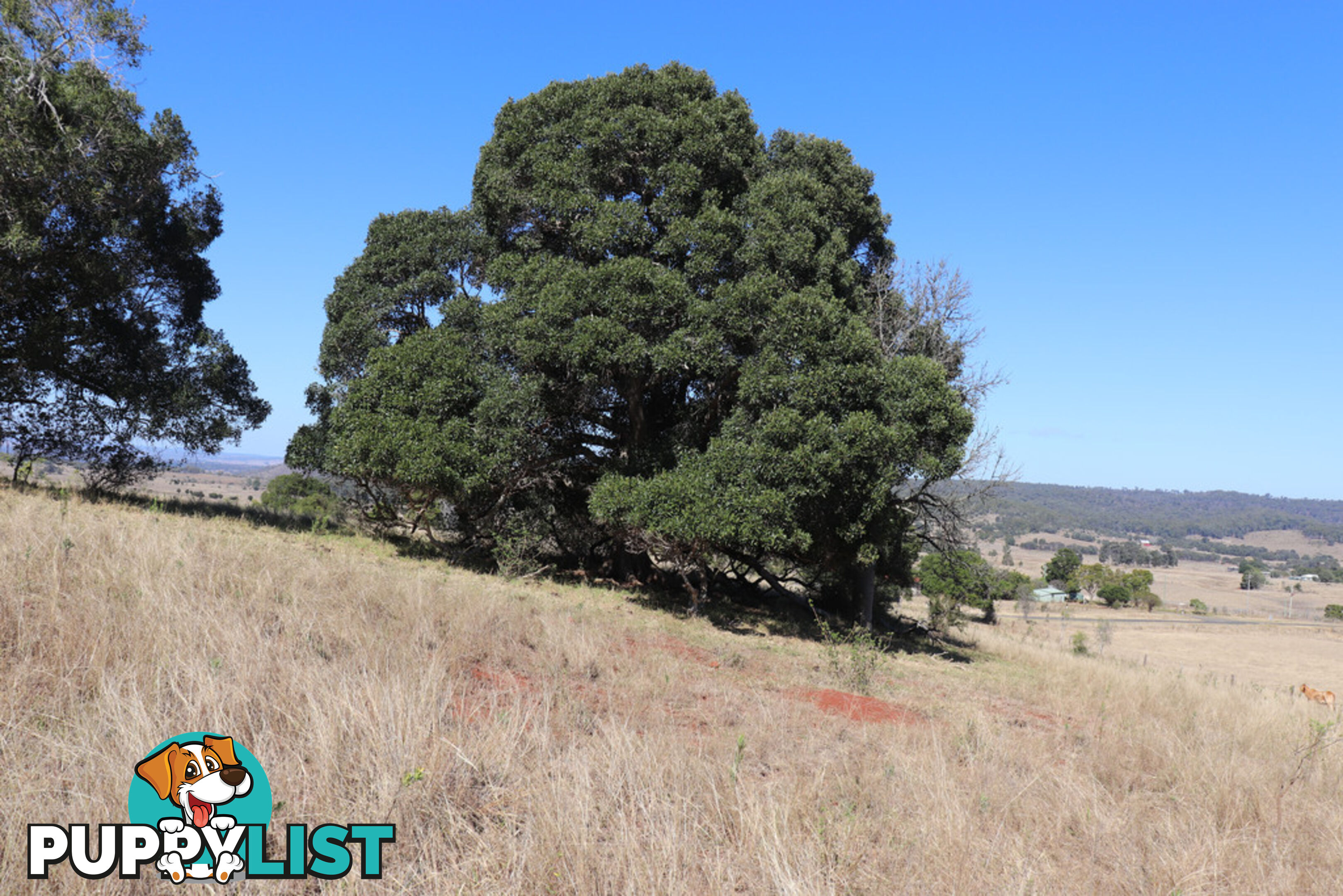 Lot 243 Humphrey Binjour Road GAYNDAH QLD 4625
