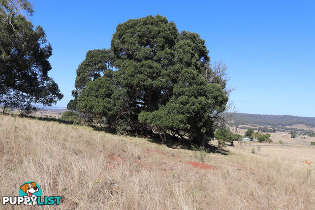 Lot 243 Humphrey Binjour Road GAYNDAH QLD 4625