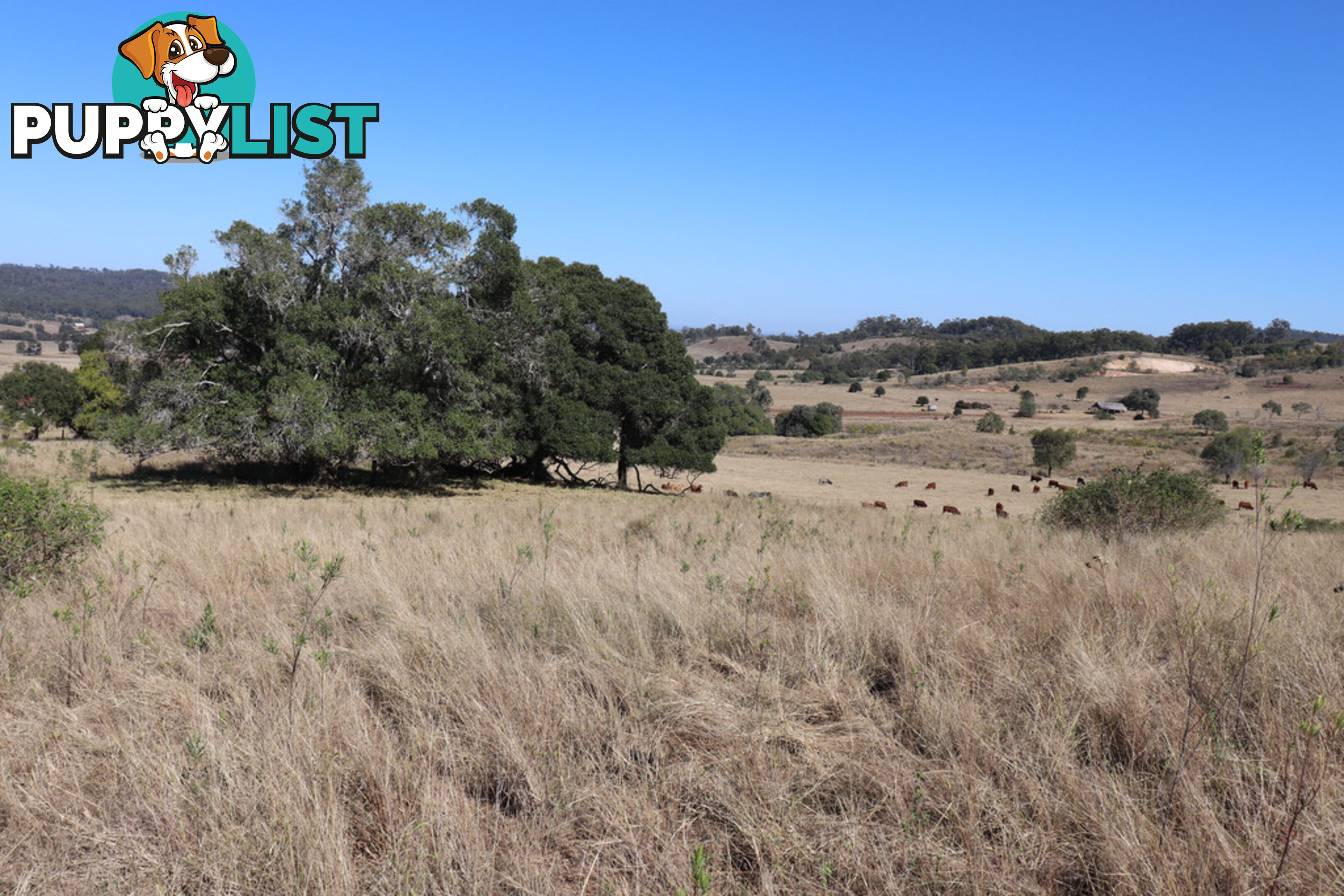 Lot 243 Humphrey Binjour Road GAYNDAH QLD 4625