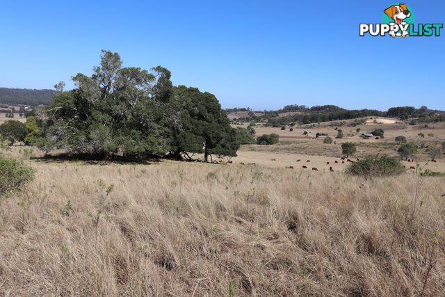 Lot 243 Humphrey Binjour Road GAYNDAH QLD 4625