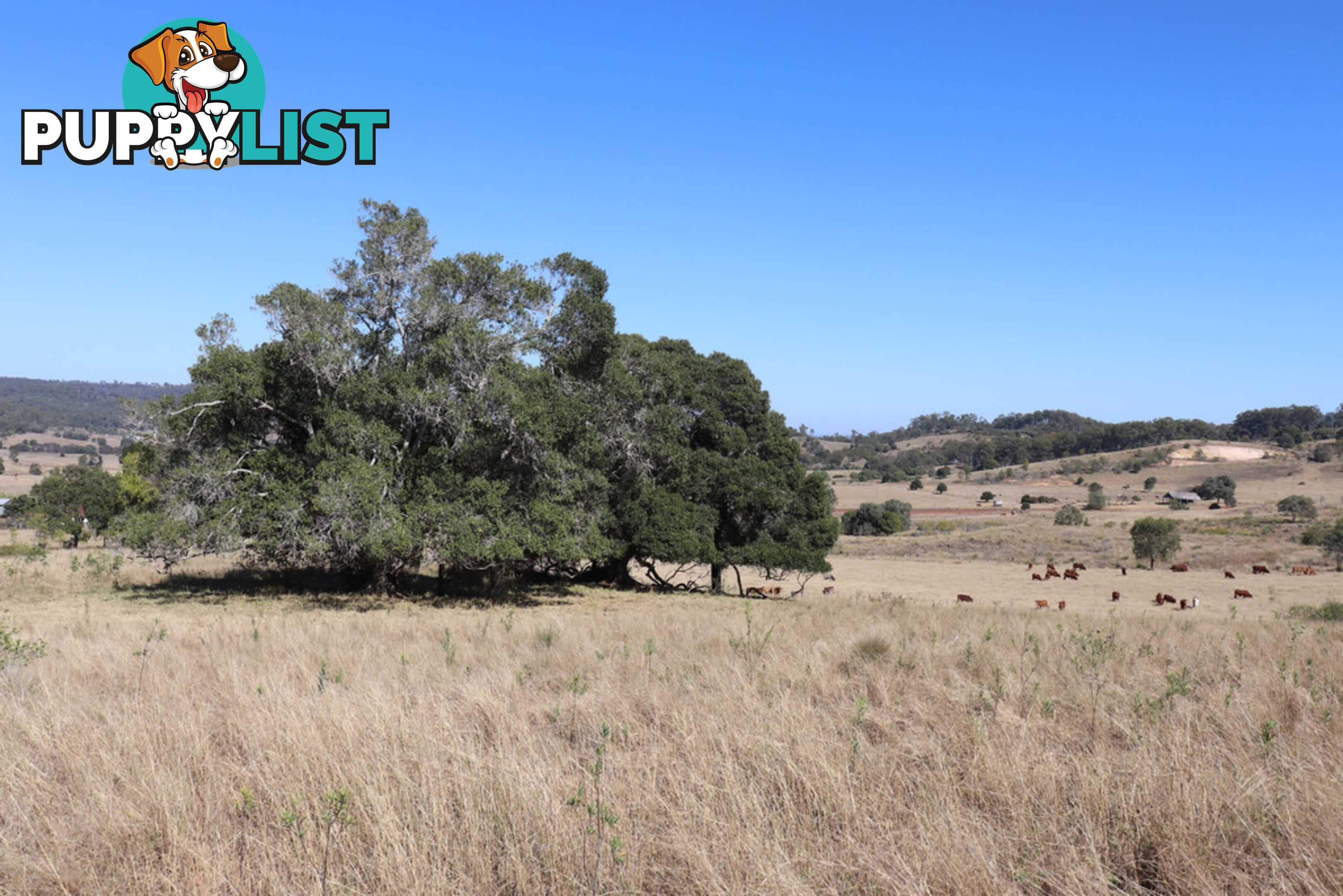 Lot 243 Humphrey Binjour Road GAYNDAH QLD 4625