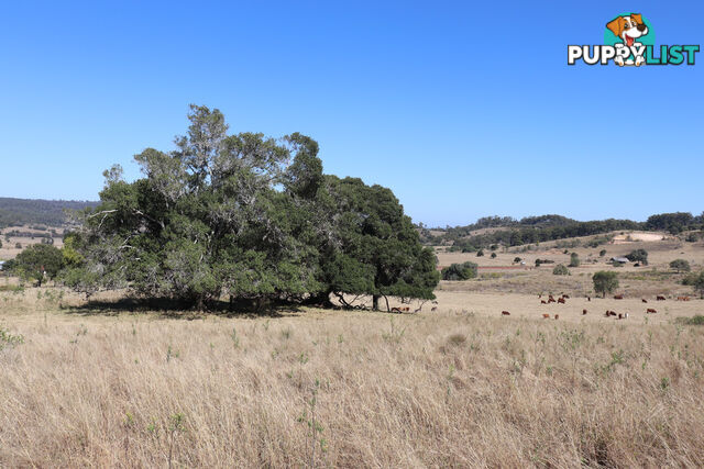 Lot 243 Humphrey Binjour Road GAYNDAH QLD 4625