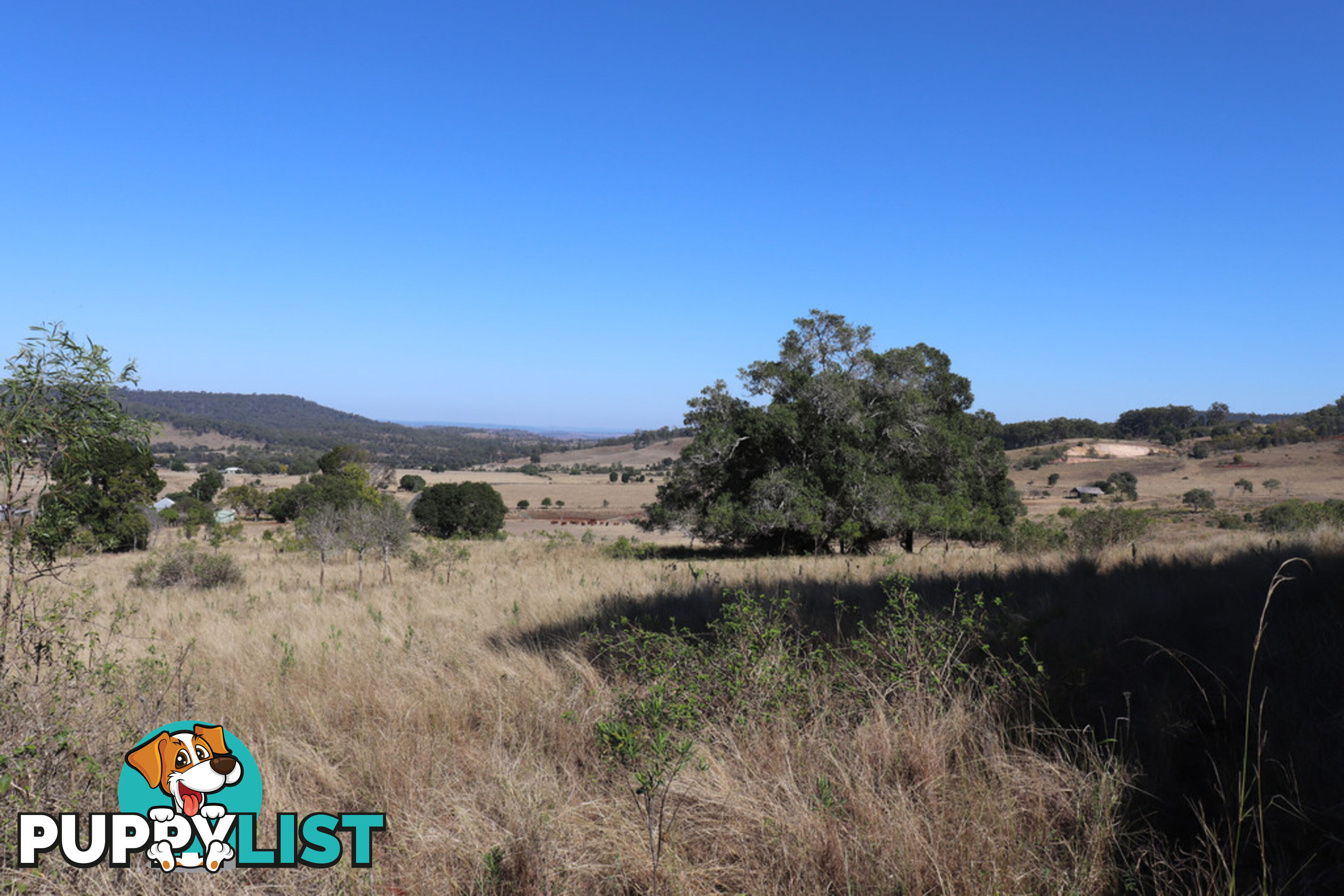 Lot 243 Humphrey Binjour Road GAYNDAH QLD 4625