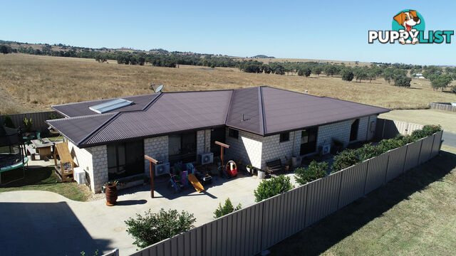53 Bell Street MONTO QLD 4630
