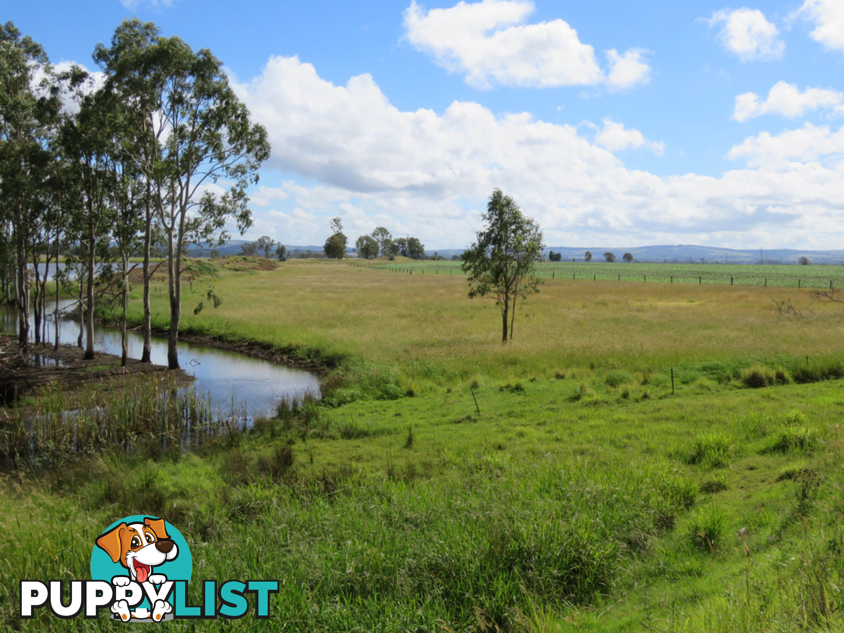 262 Mondure-Cushnie Road MONDURE QLD 4611