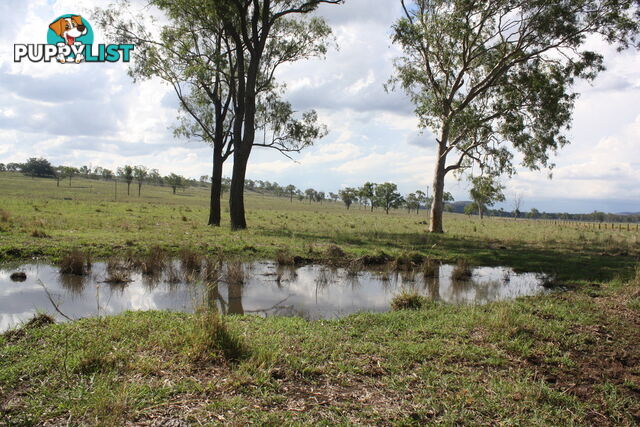 Lot 23 Gooroolba-Biggenden Road BIGGENDEN QLD 4621