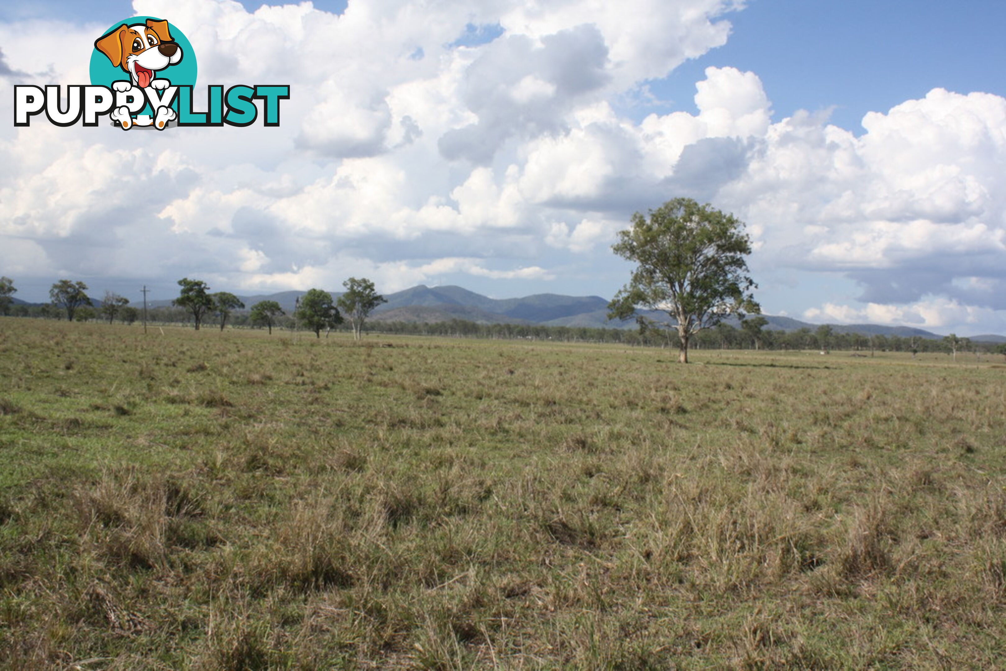 Lot 23 Gooroolba-Biggenden Road BIGGENDEN QLD 4621