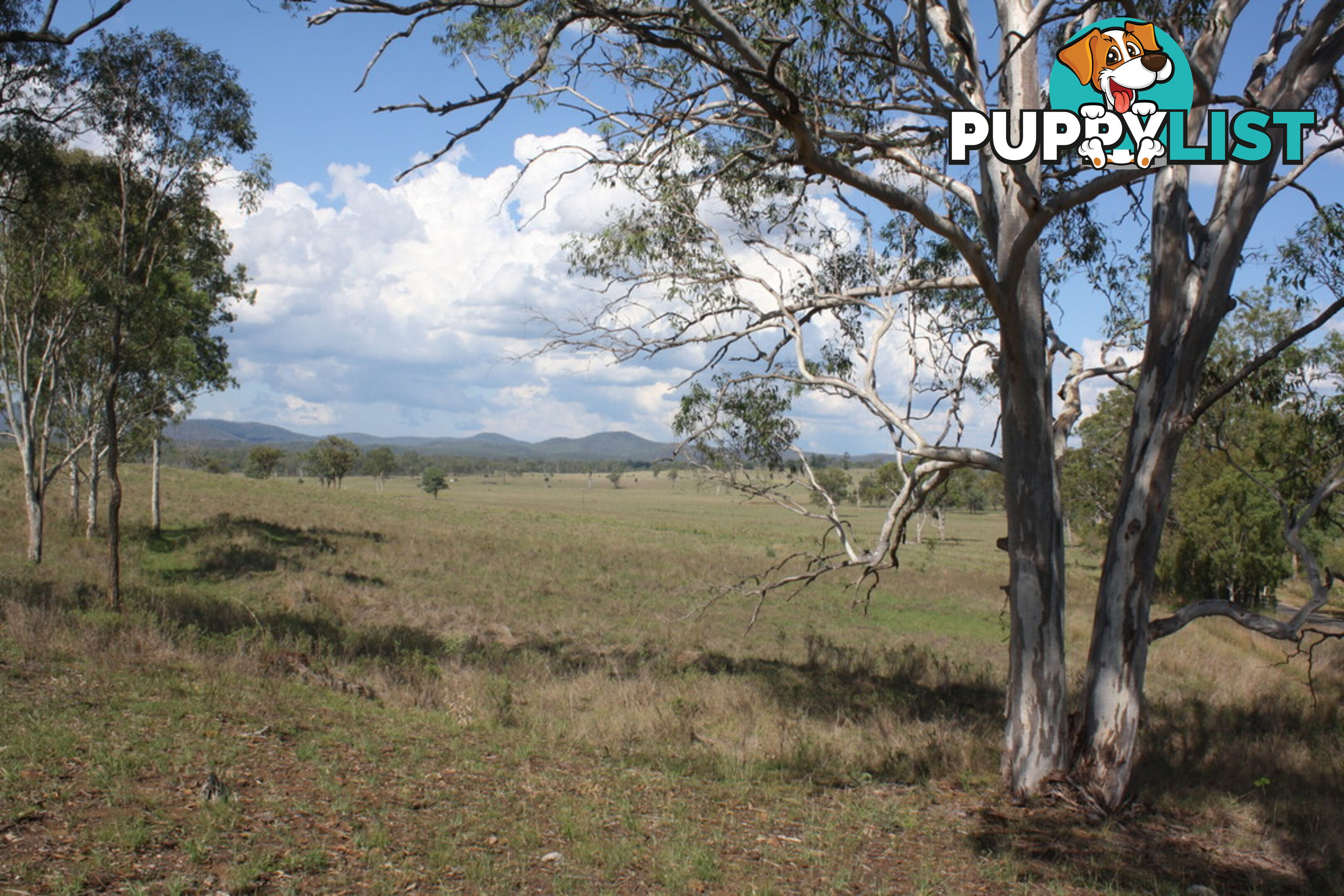 Lot 23 Gooroolba-Biggenden Road BIGGENDEN QLD 4621