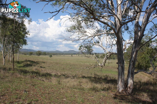 Lot 23 Gooroolba-Biggenden Road BIGGENDEN QLD 4621