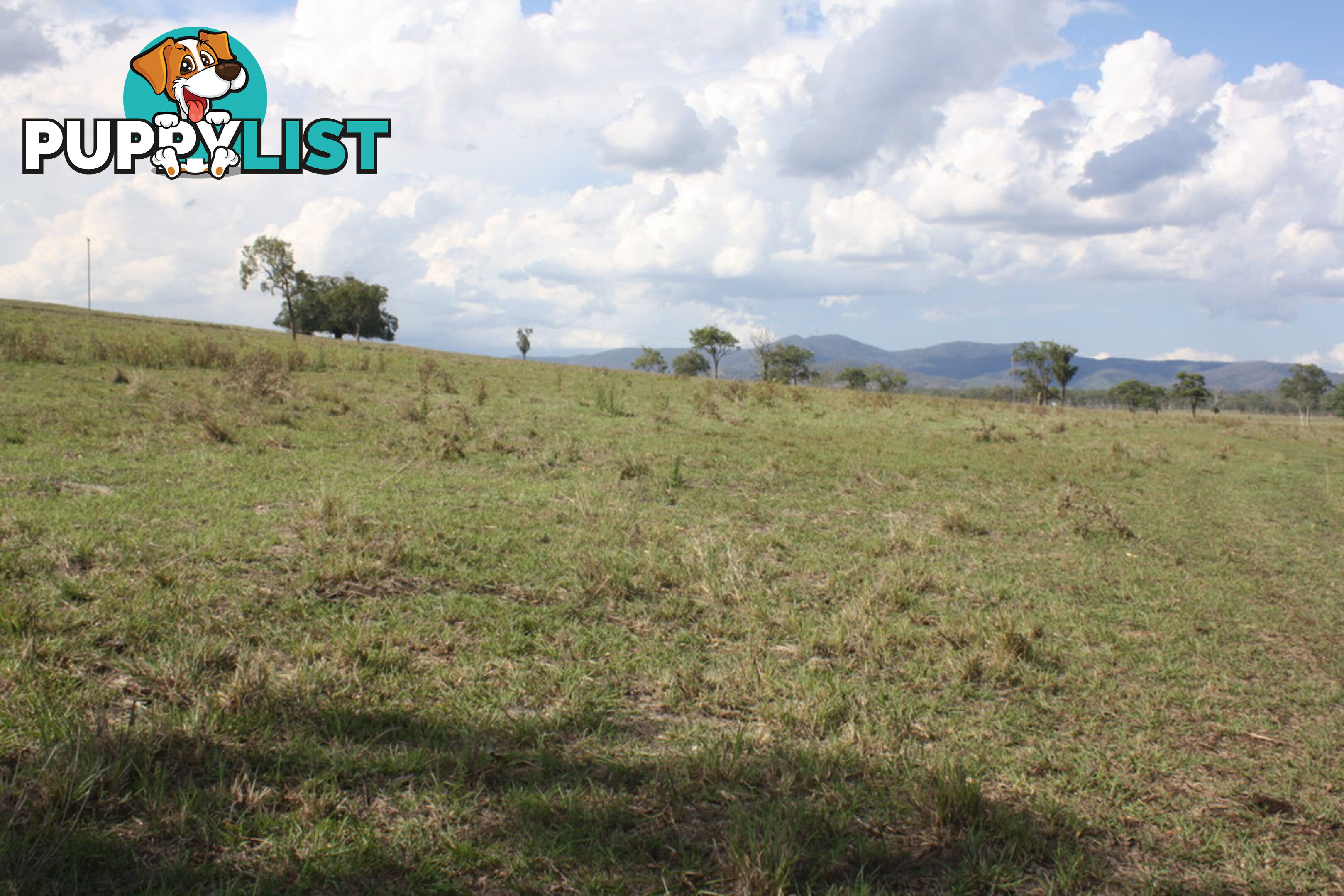 Lot 23 Gooroolba-Biggenden Road BIGGENDEN QLD 4621