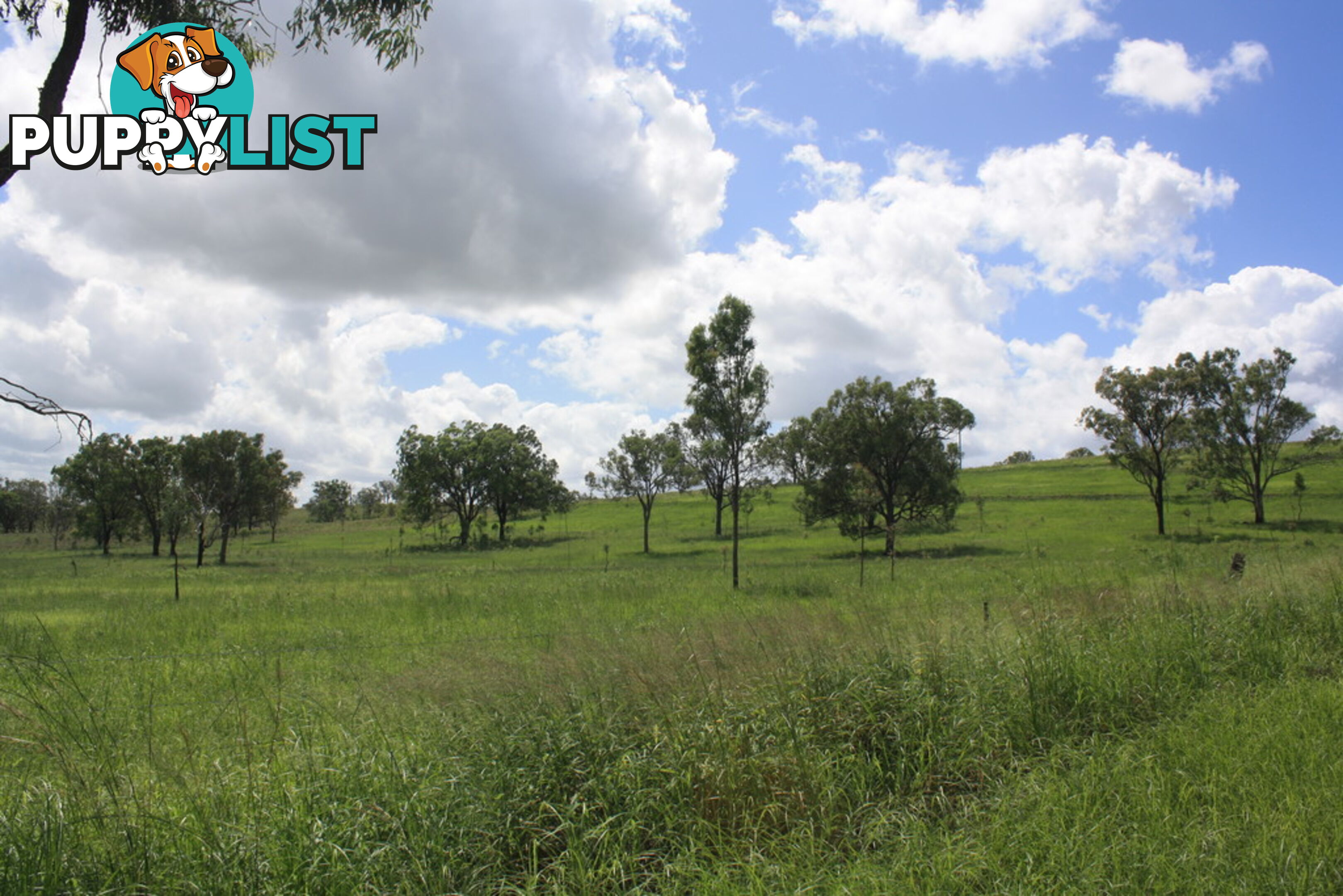 Lot 23 Gooroolba-Biggenden Road BIGGENDEN QLD 4621