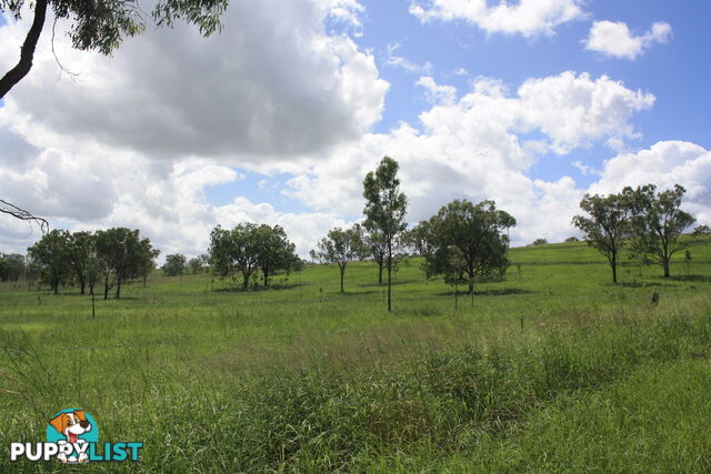 Lot 23 Gooroolba-Biggenden Road BIGGENDEN QLD 4621