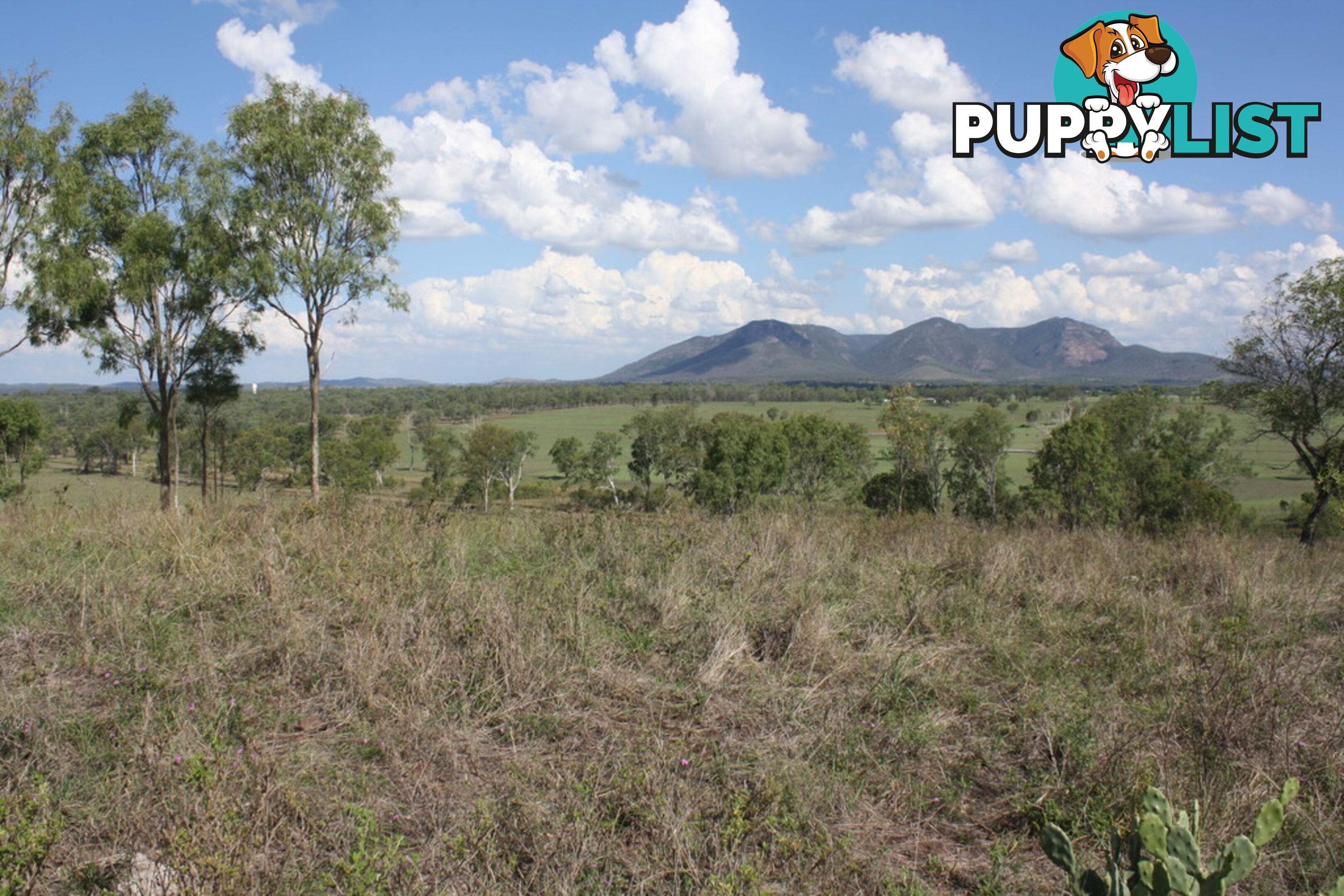 Lot 23 Gooroolba-Biggenden Road BIGGENDEN QLD 4621