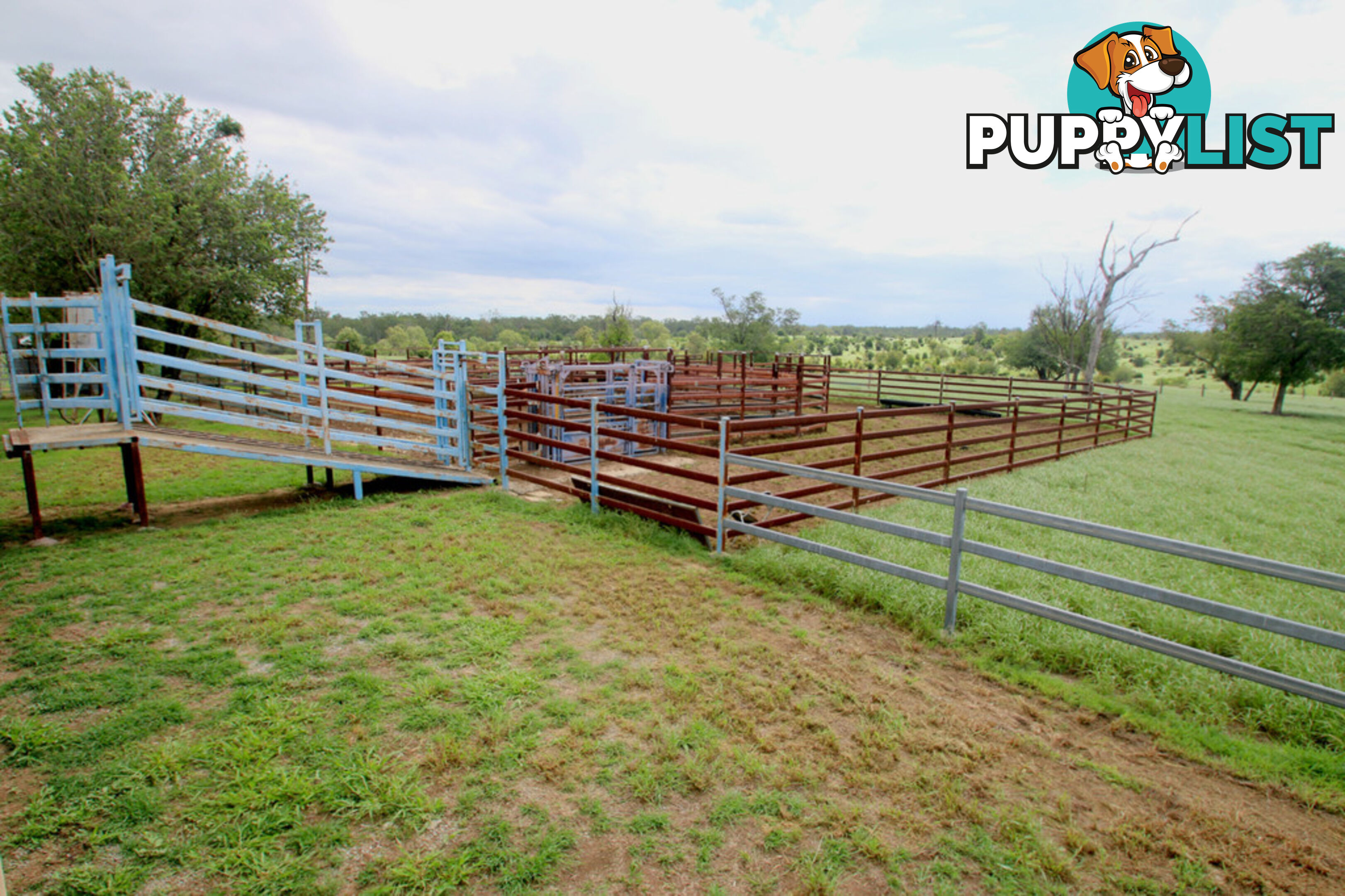 1886 Duaringa-Biloela Road DUARINGA QLD 4712