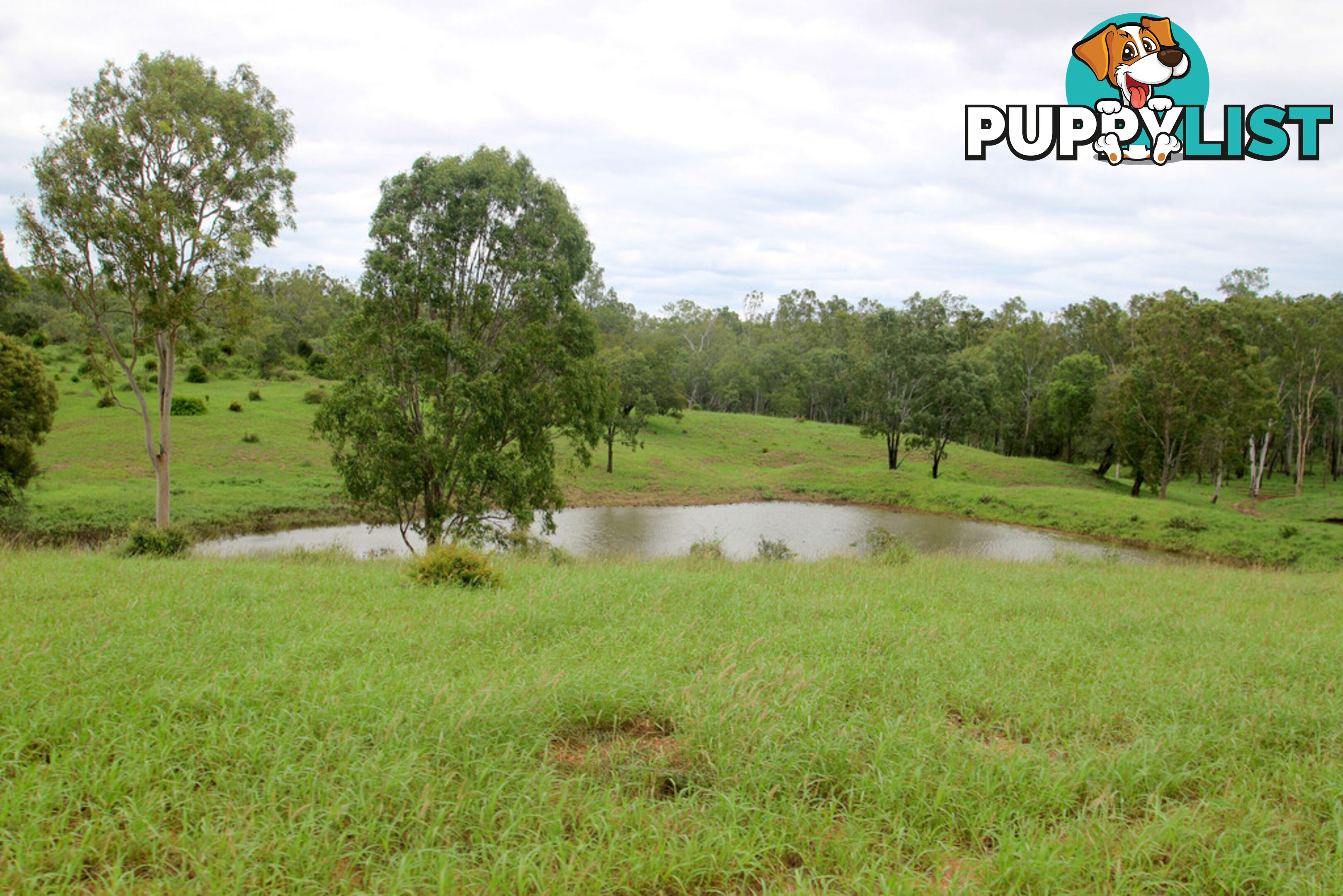 1886 Duaringa-Biloela Road DUARINGA QLD 4712