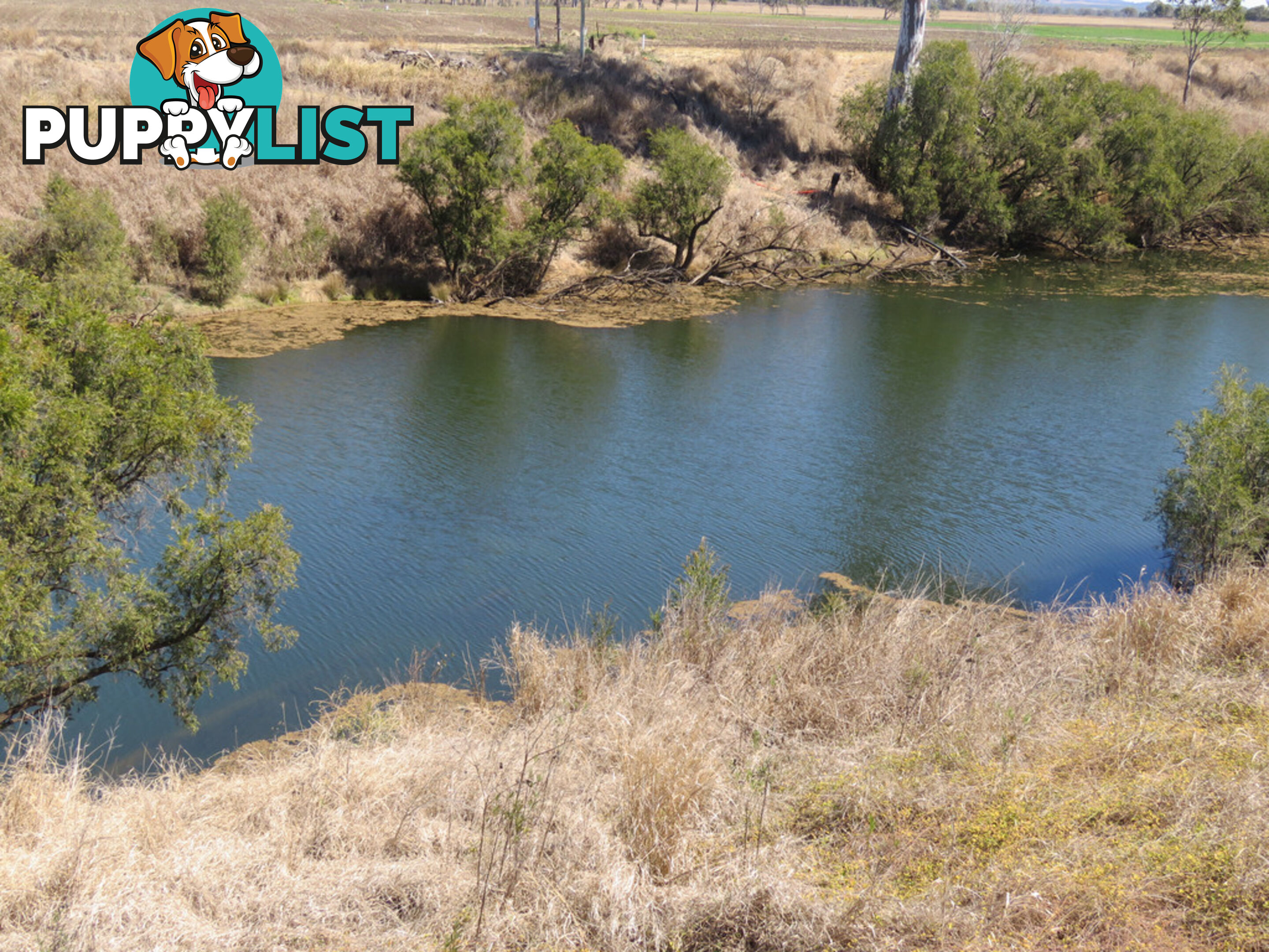 'Oaky Creek' Silverleaf Road, Byee Flats MURGON QLD 4605