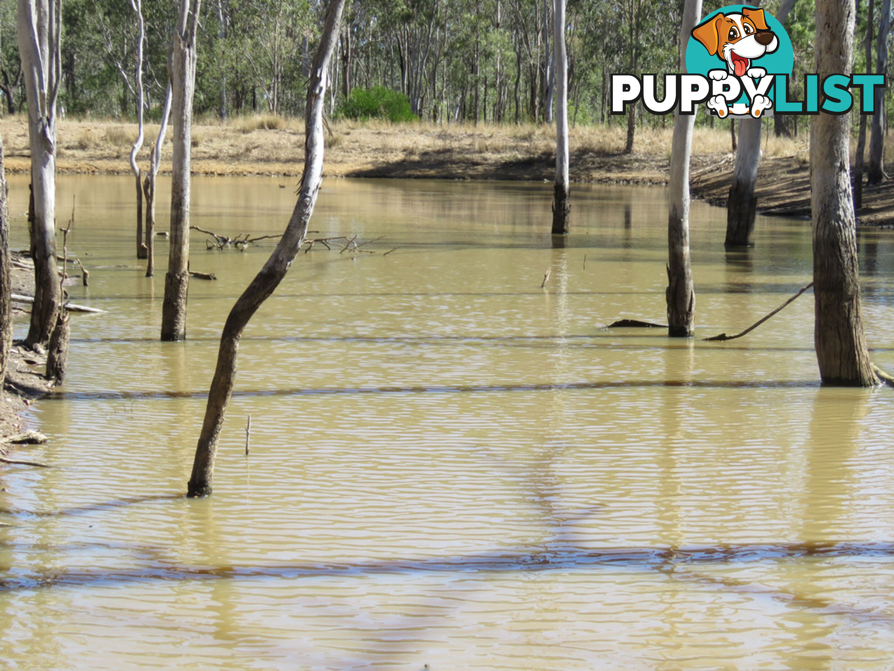 'Oaky Creek' Silverleaf Road, Byee Flats MURGON QLD 4605