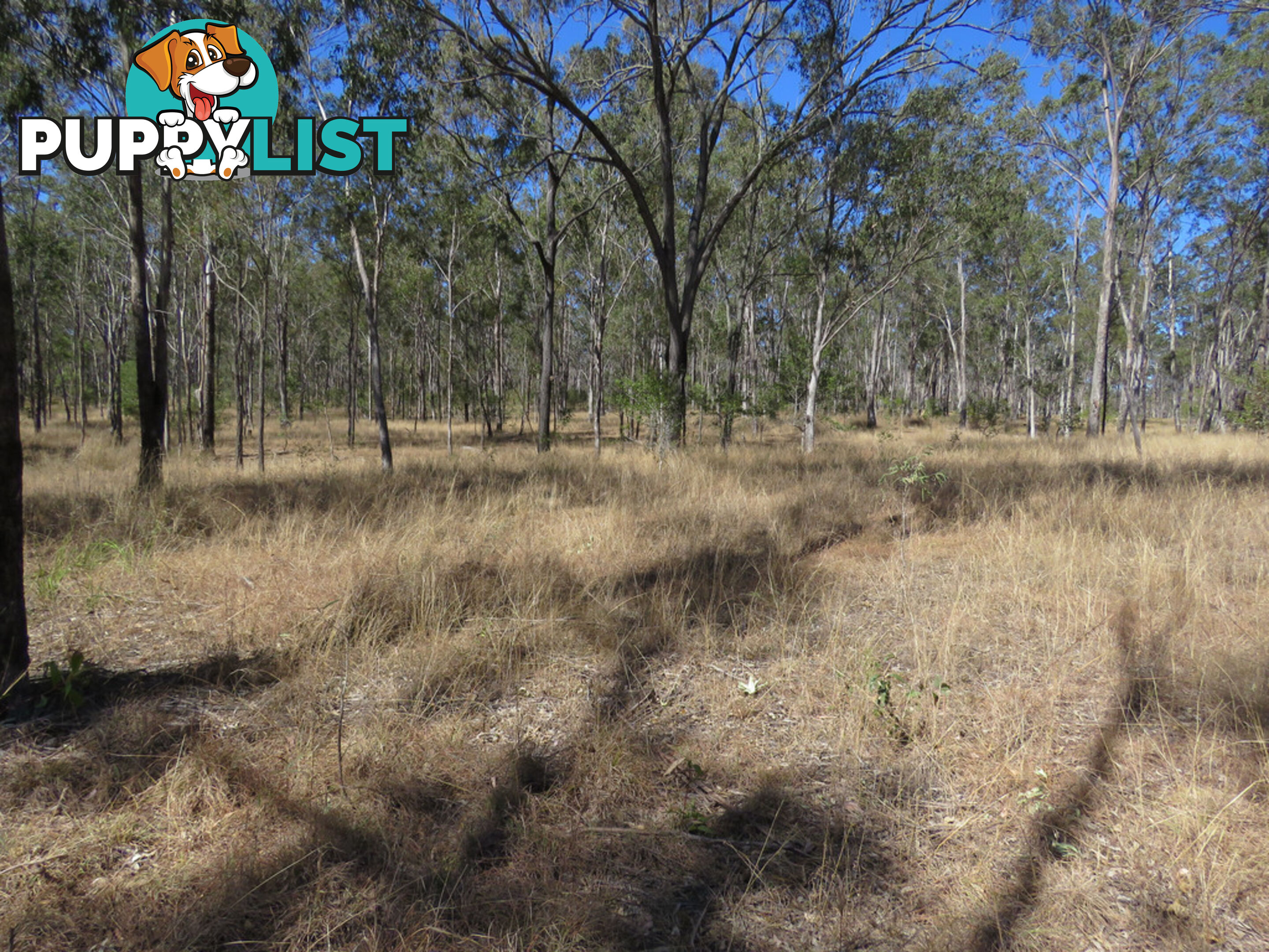 'Oaky Creek' Silverleaf Road, Byee Flats MURGON QLD 4605