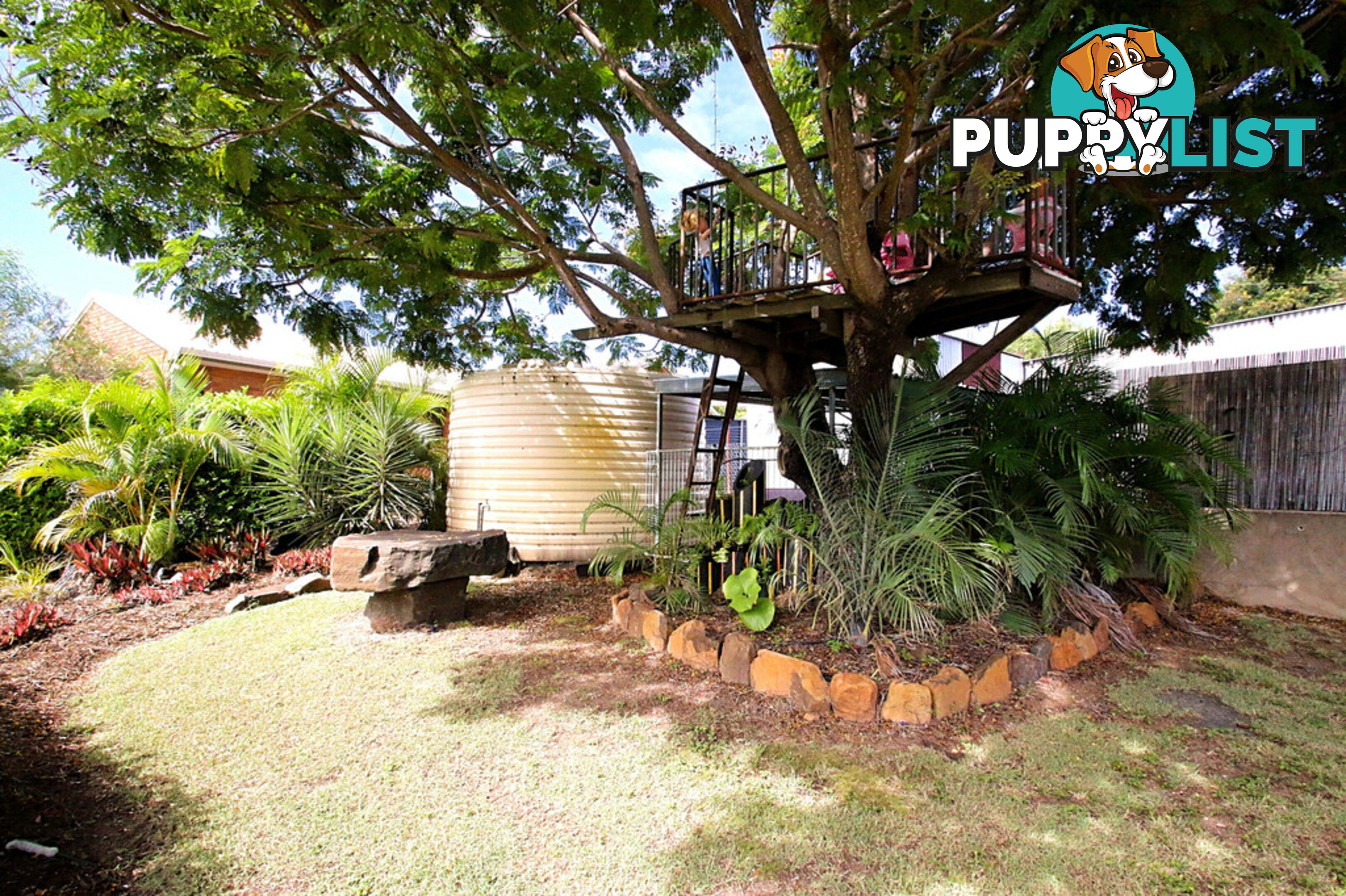 6 Comet Street SPRINGSURE QLD 4722