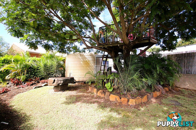 6 Comet Street SPRINGSURE QLD 4722