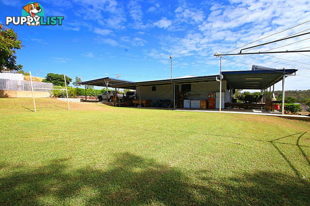 6 Comet Street SPRINGSURE QLD 4722