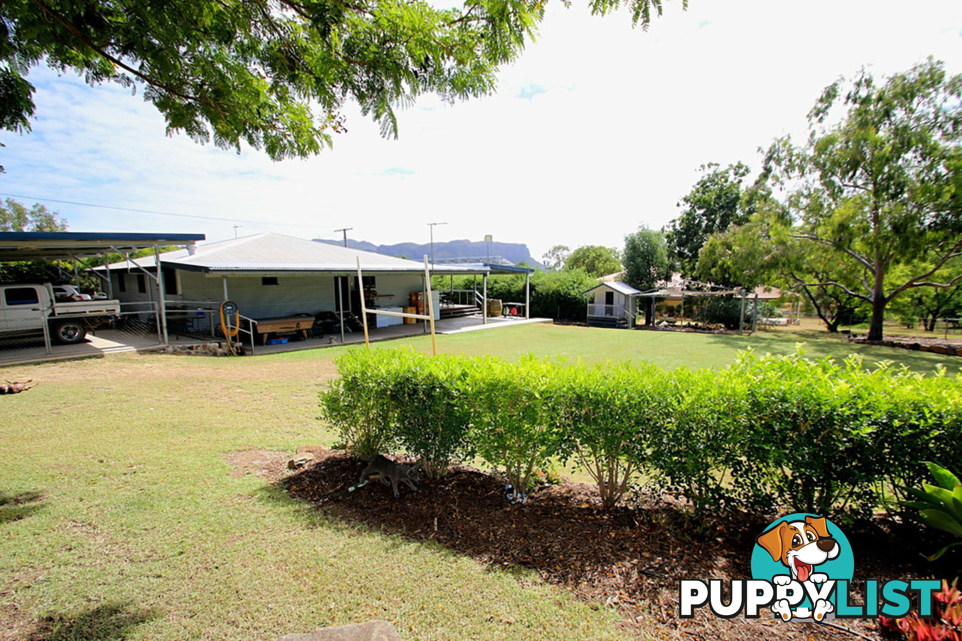 6 Comet Street SPRINGSURE QLD 4722