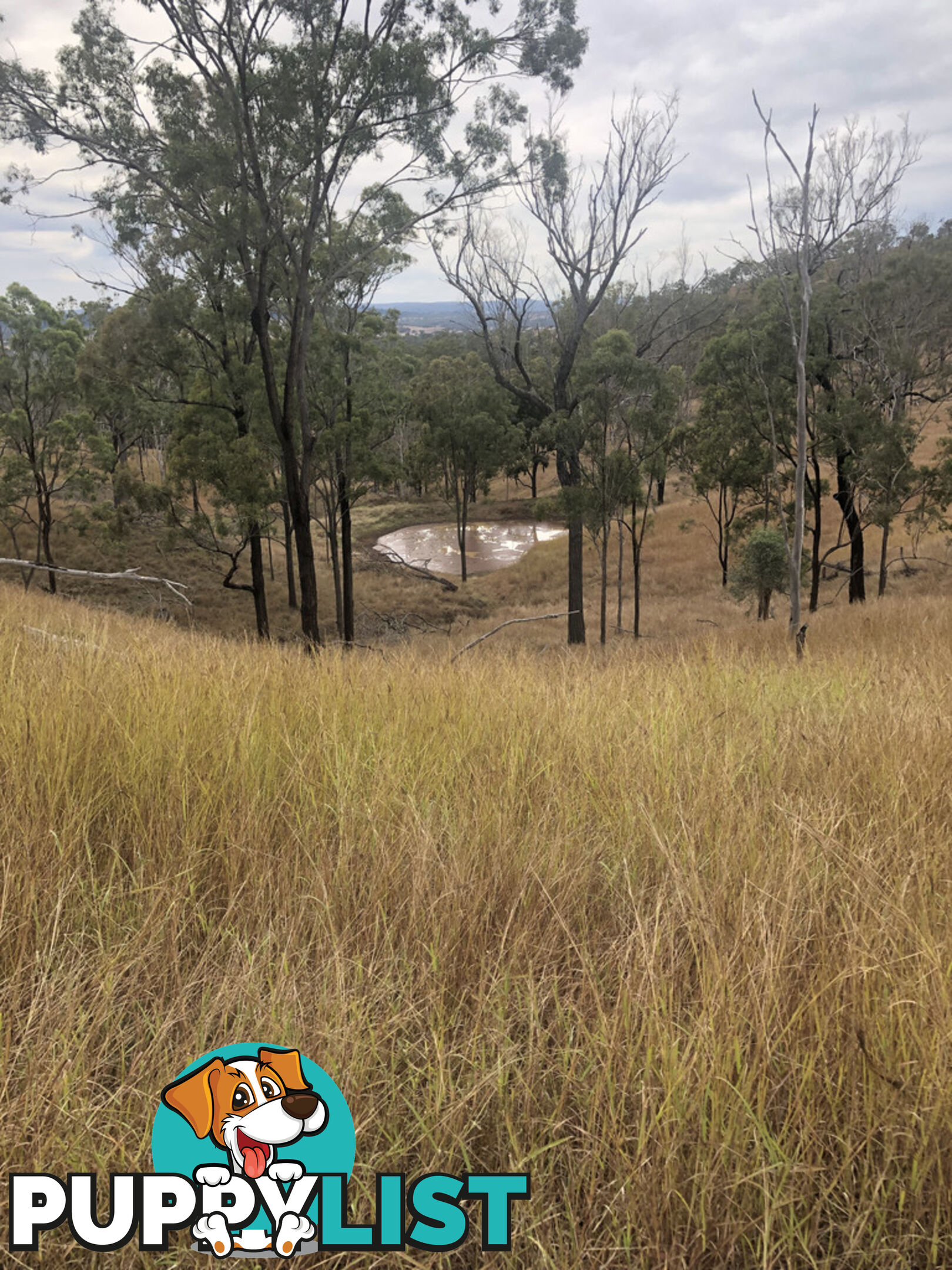 Lot 2 Kilcoy-Murgon Road, BARAMBAH GOOMERI QLD 4601