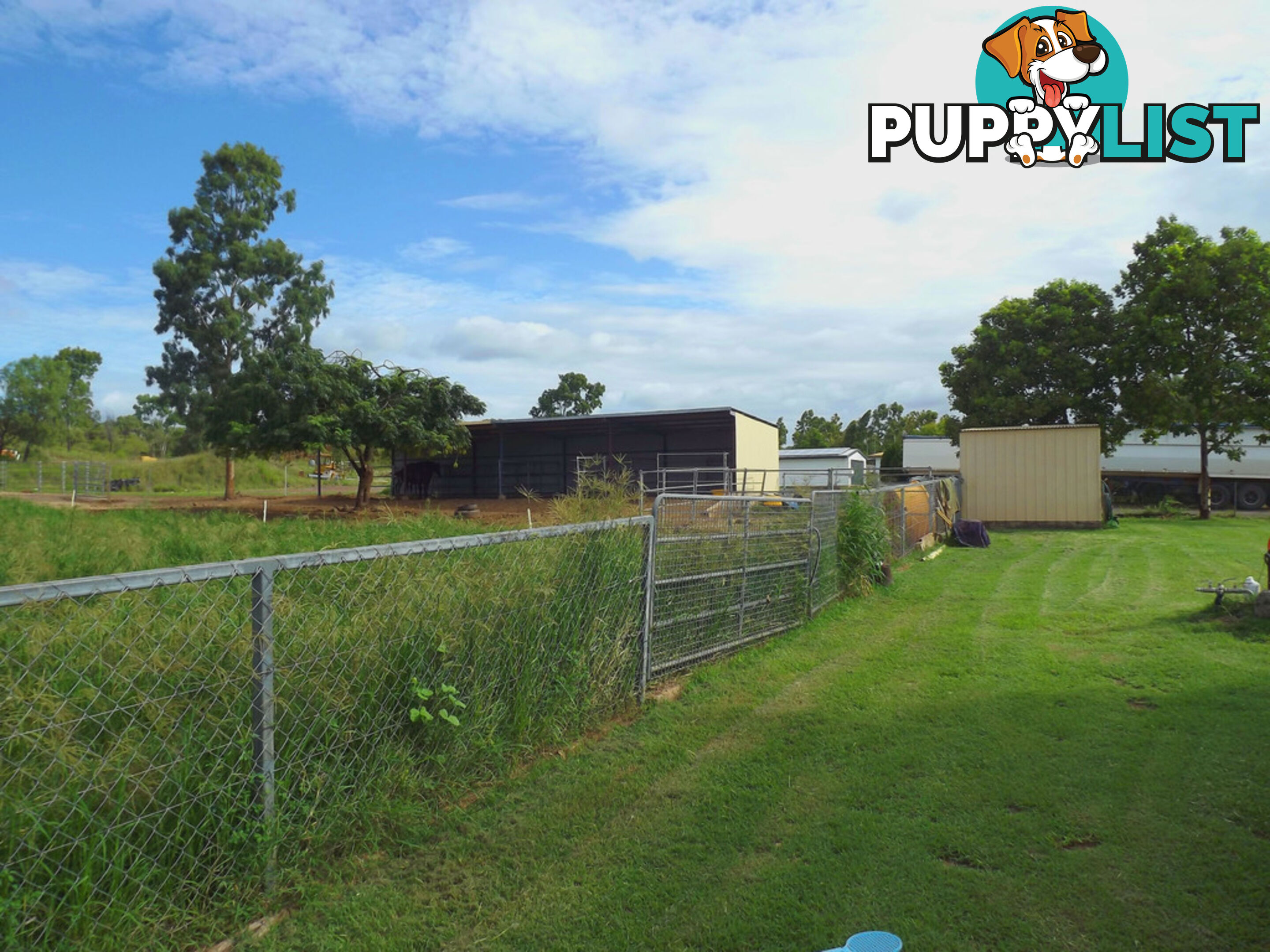 68 West Street SPRINGSURE QLD 4722