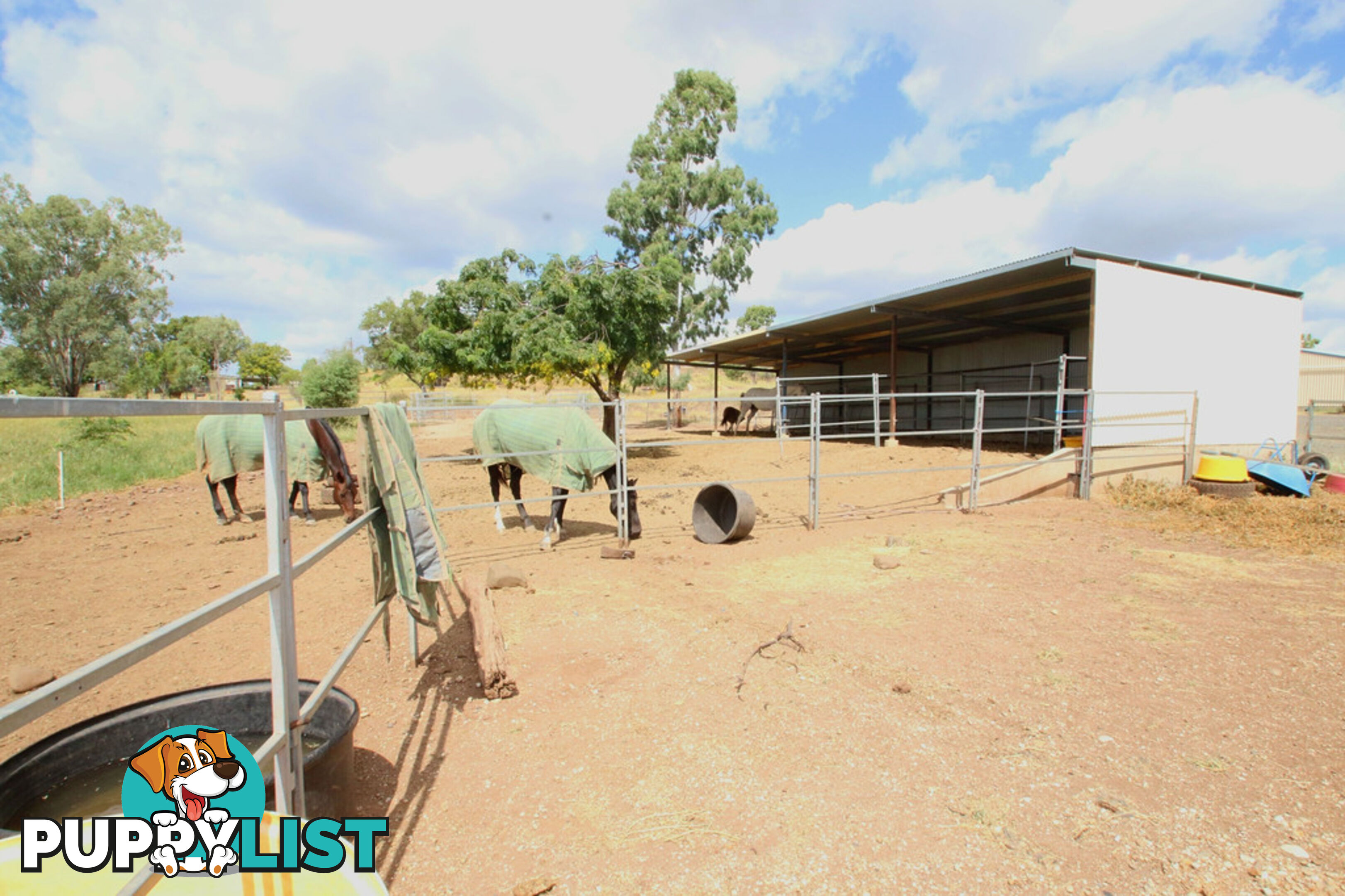 68 West Street SPRINGSURE QLD 4722