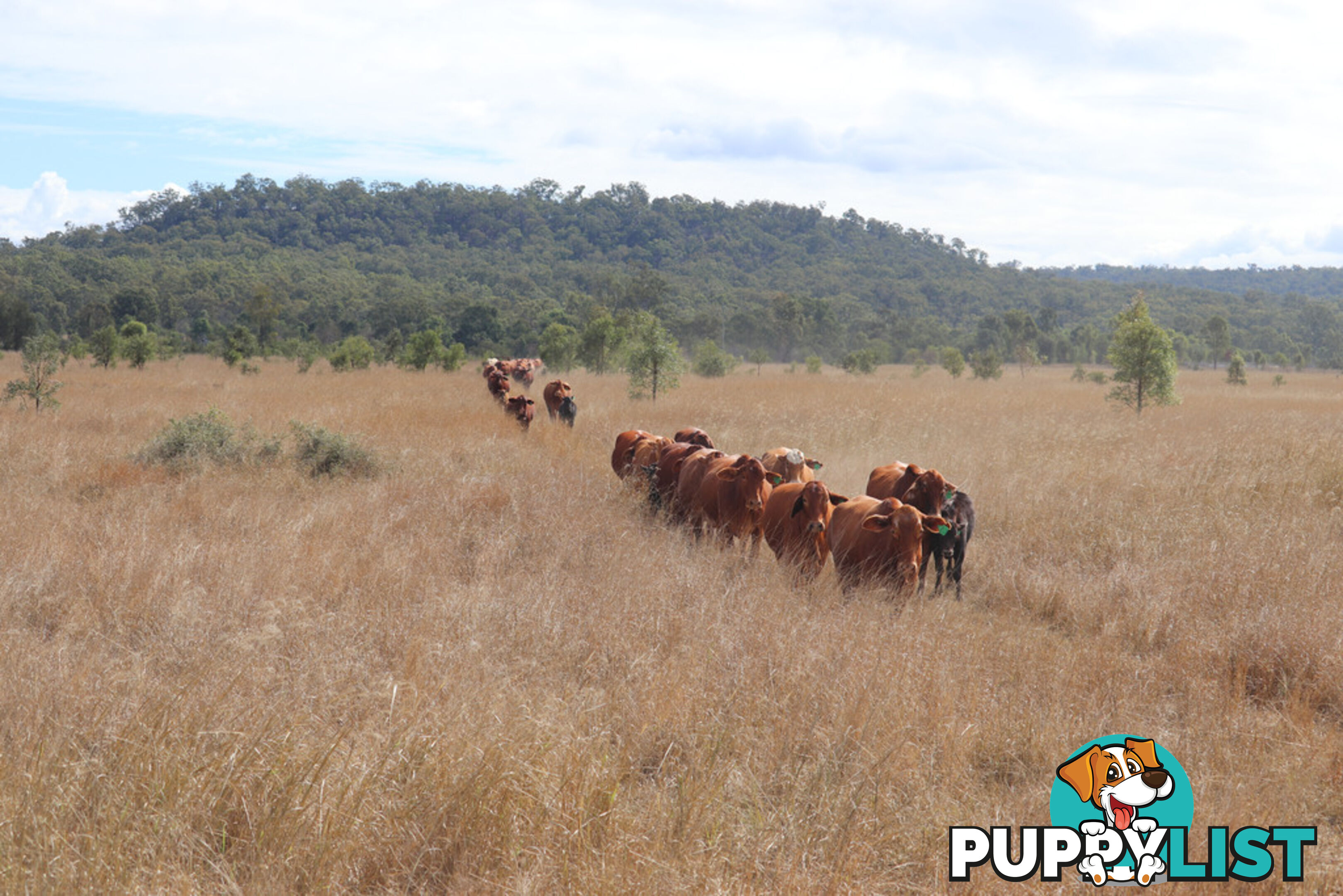 Lot 4 Burnett Highway EIDSVOLD QLD 4627