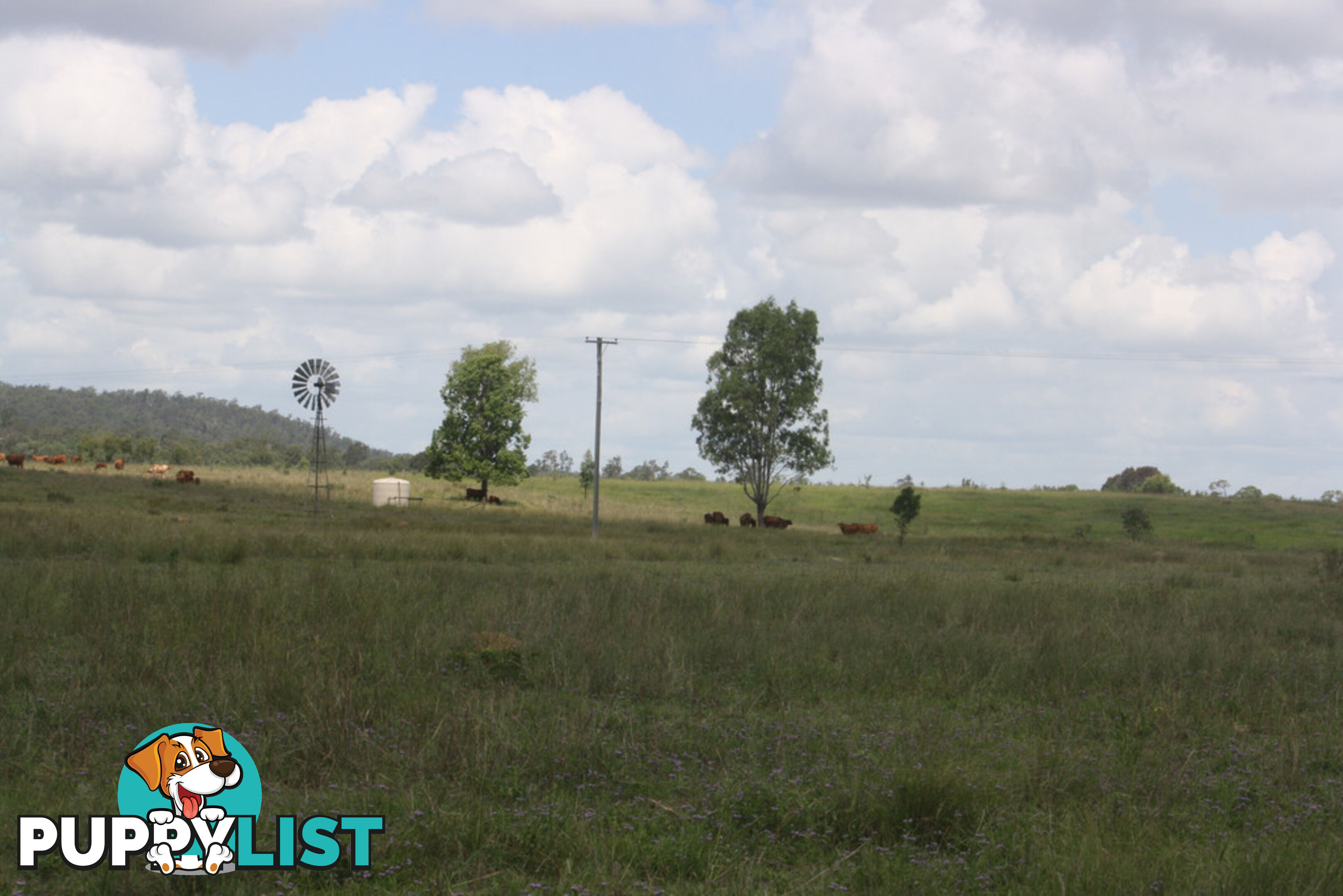 Lot 4 Burnett Highway EIDSVOLD QLD 4627