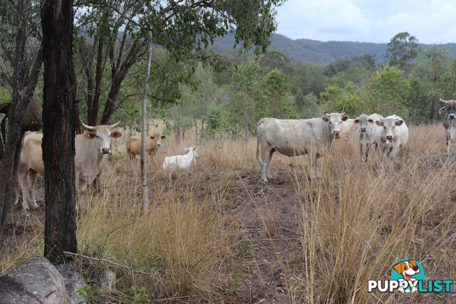 1845 Gaeta Road, Gaeta GIN GIN QLD 4671