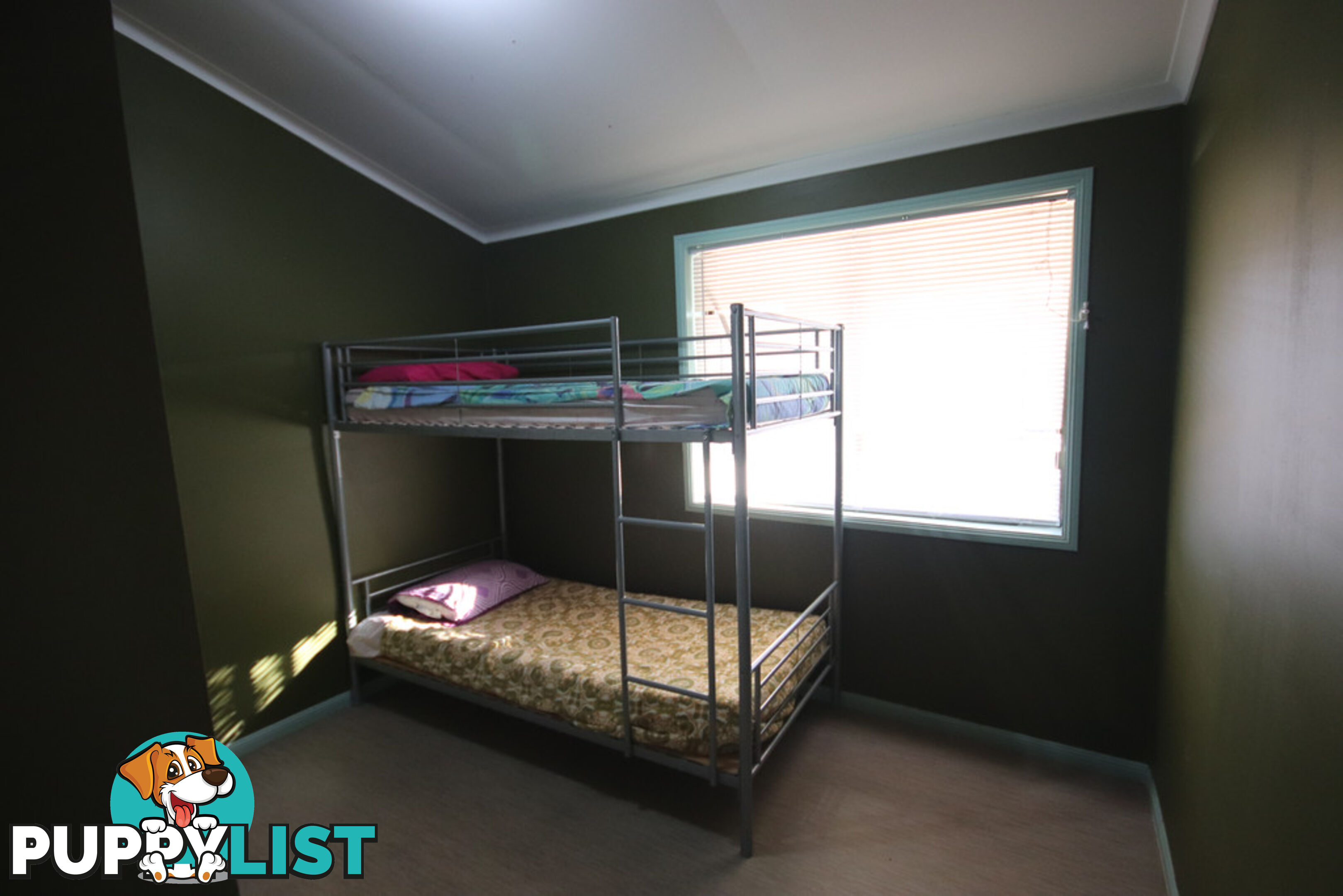 19 Stuart-Russell Street MUNDUBBERA QLD 4626