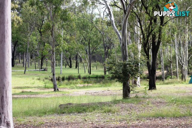 'Manar' Manar Road MUNDUBBERA QLD 4626