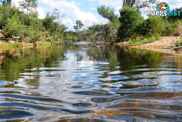 'Manar' Manar Road MUNDUBBERA QLD 4626