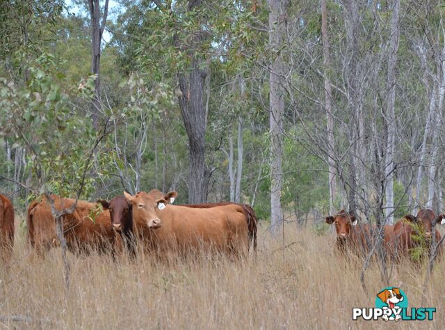 'Manar' Manar Road MUNDUBBERA QLD 4626