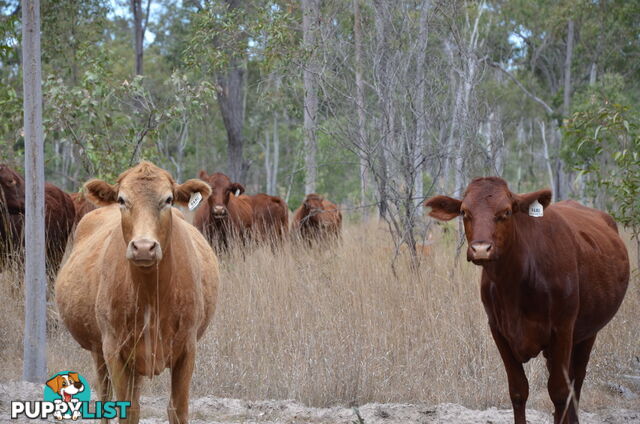 'Manar' Manar Road MUNDUBBERA QLD 4626