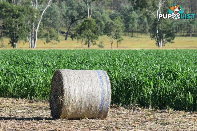 3269 Murgon-Gayndah Road MURGON QLD 4605