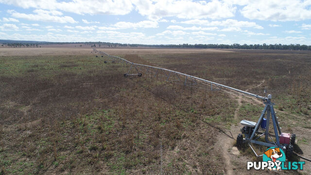 Belmore 24962 Burnett Highway EIDSVOLD QLD 4627