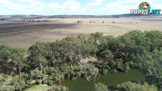 Belmore 24962 Burnett Highway EIDSVOLD QLD 4627