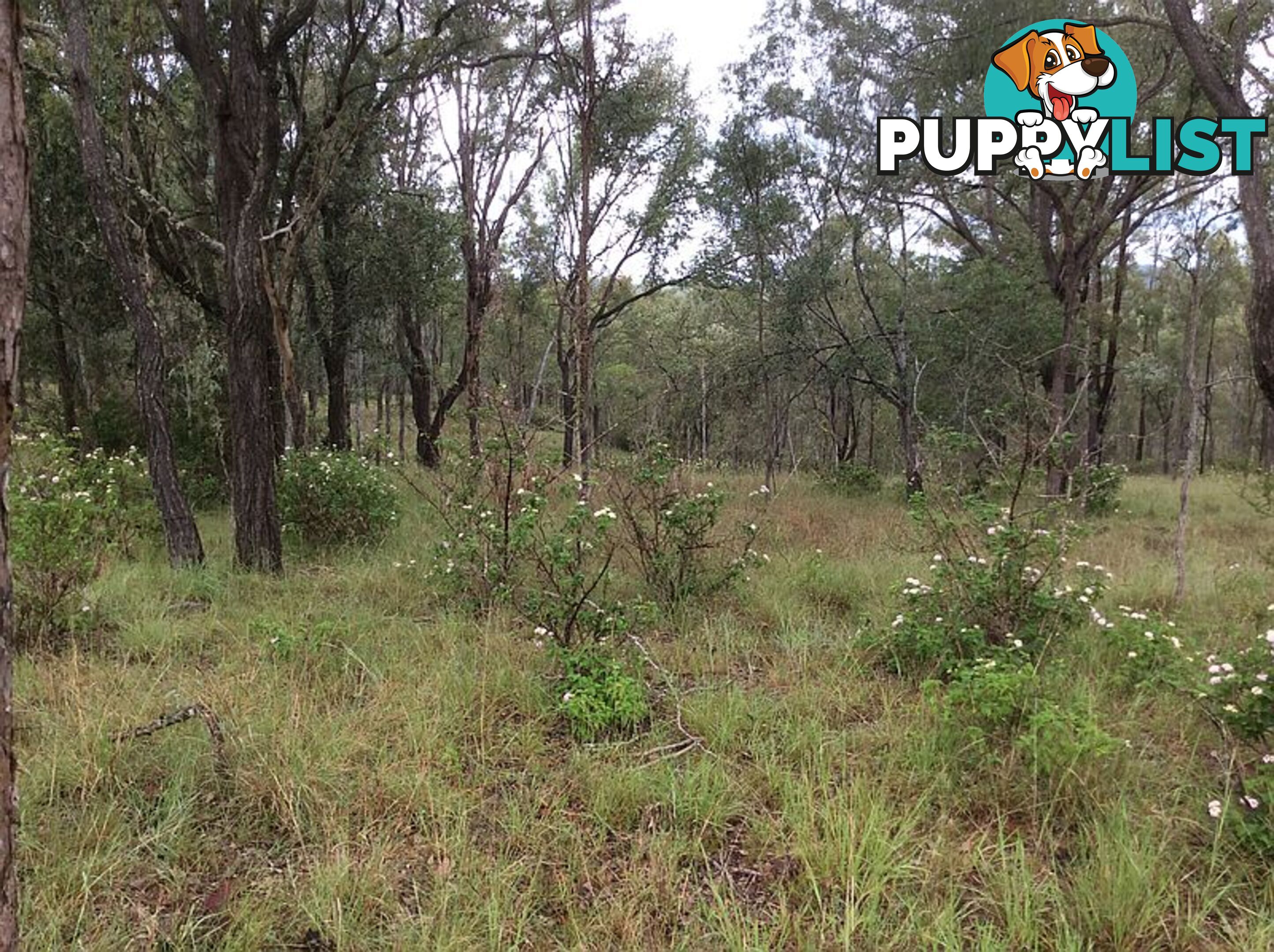 Lot 3 Oaky Creek Road Nanango, QLD 4615