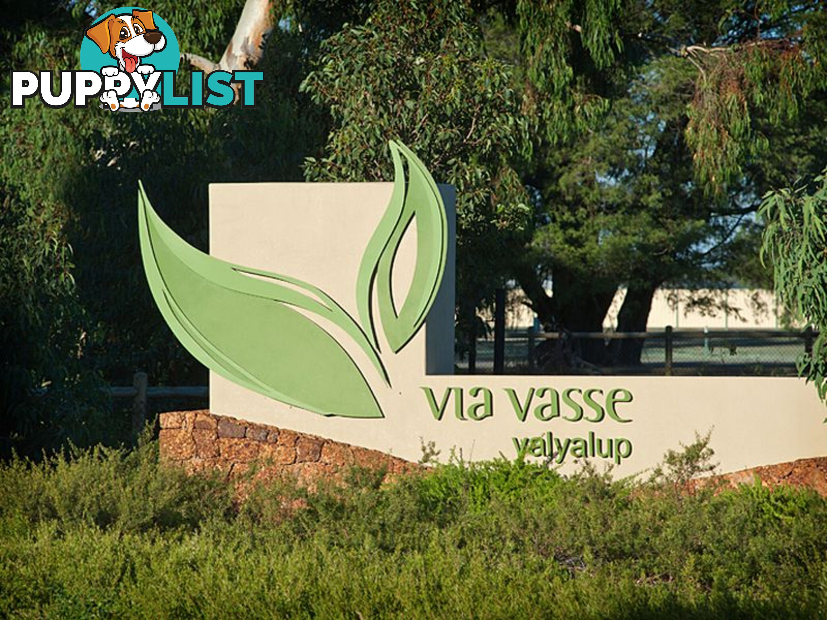 709 Tweed Street-VIA VASSE YALYALUP WA 6280