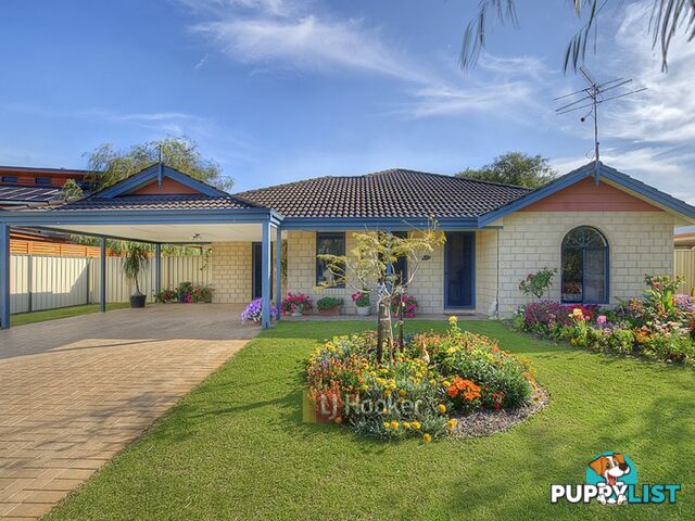 20 Cardinal Crescent WEST BUSSELTON WA 6280