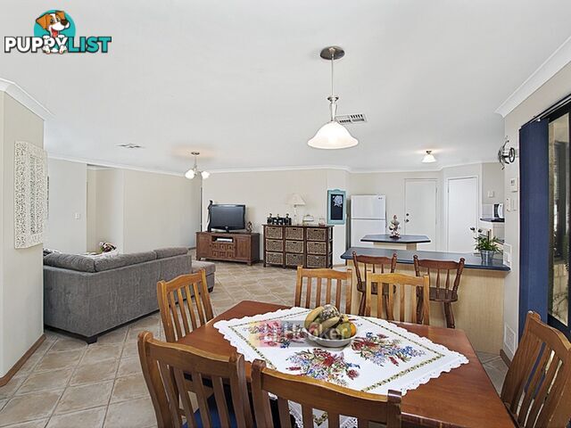 20 Cardinal Crescent WEST BUSSELTON WA 6280