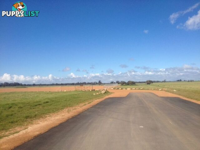 Lot 9501 Vasse Highway BUSSELTON WA 6280