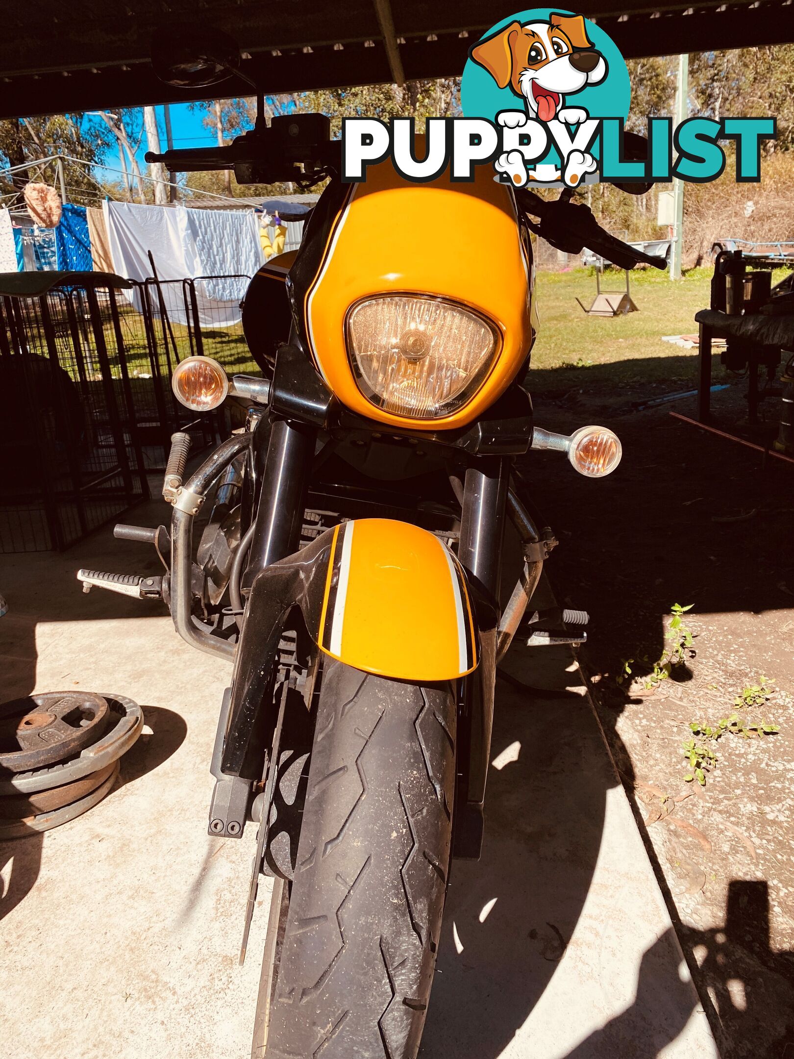 2014 Suzuki Boulevard M109RZ (VZR1800Z)