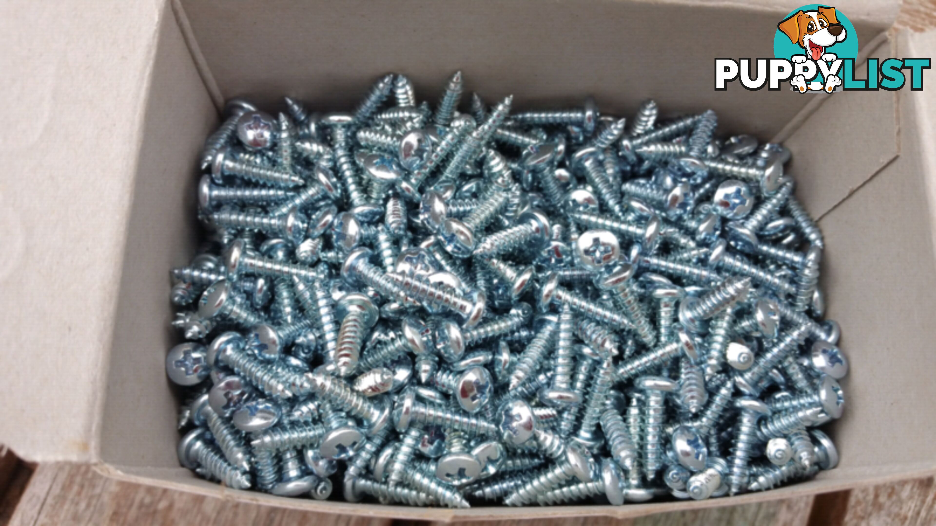 BULK BOX QTY 1000 X SHEET METAL SCREWS